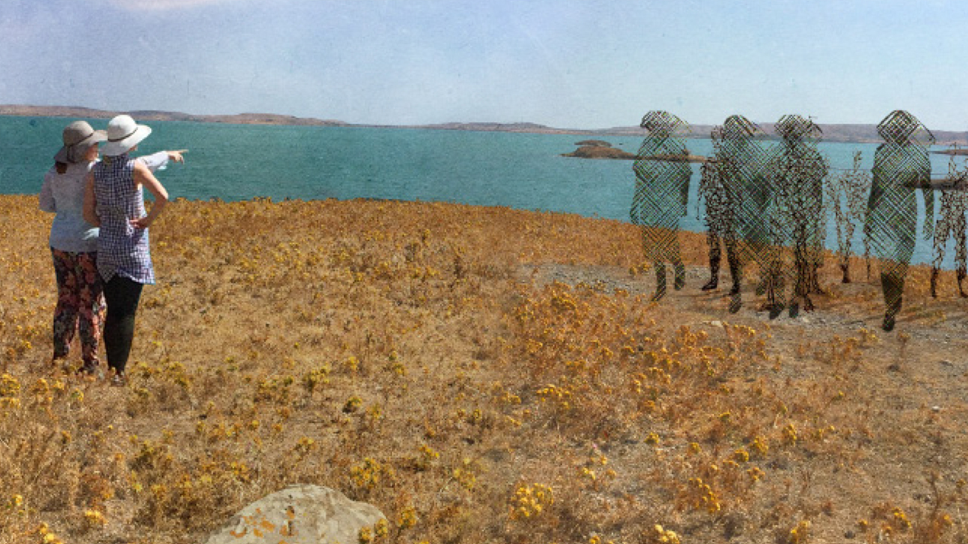 LIBC_Collage_3_1920x1080px